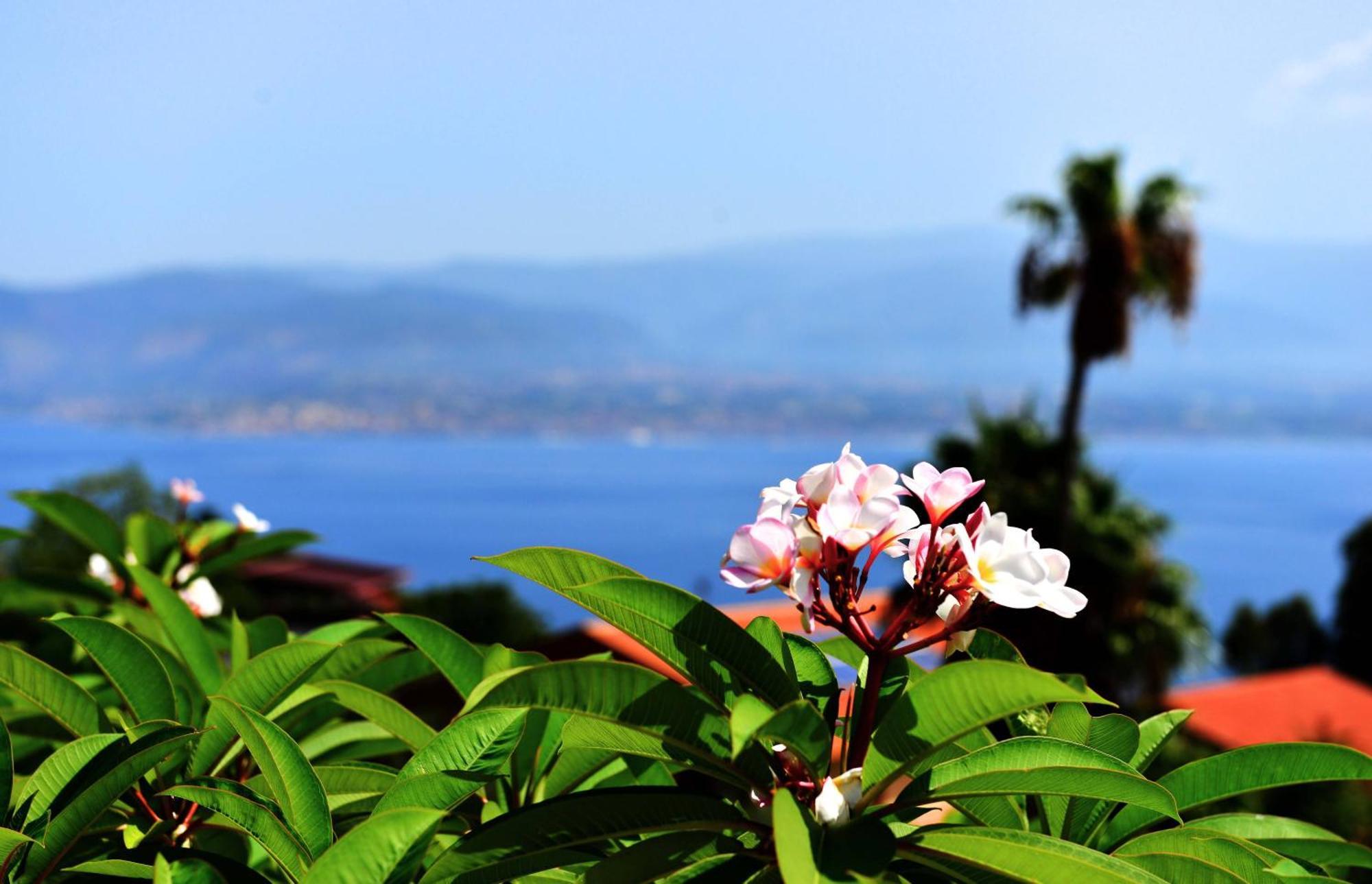 Villa Scilla E Cariddi Messina Exterior photo